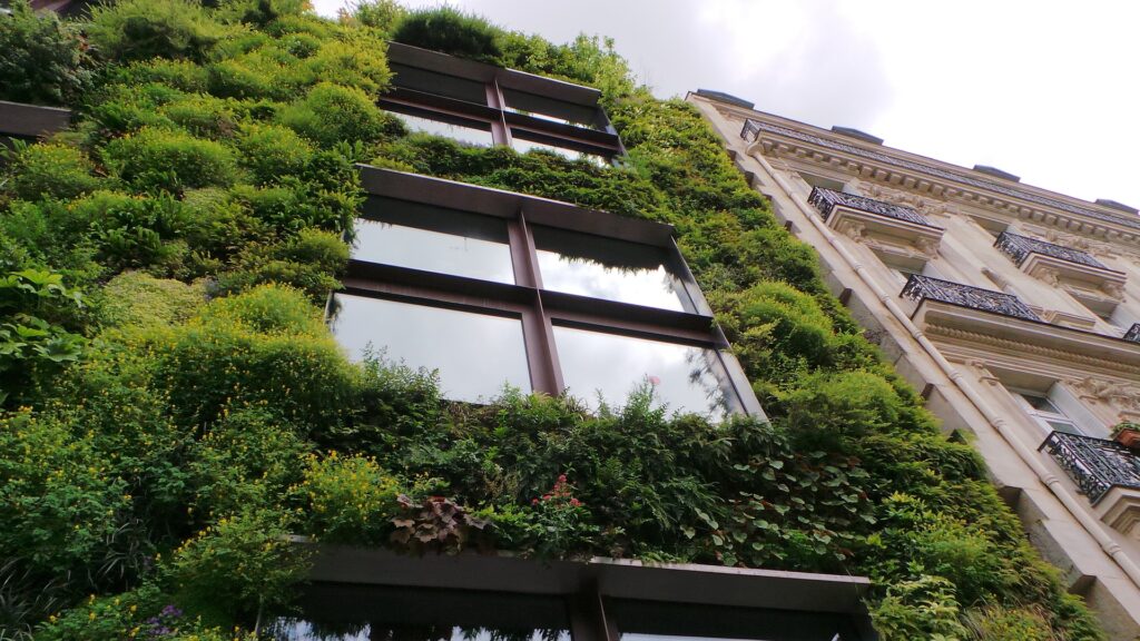Greening the environment