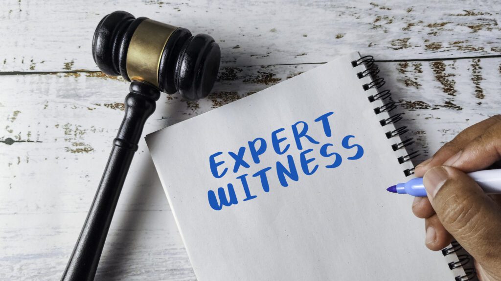 Expert Witness for Boundary Disputes