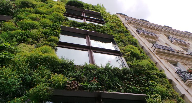 Greening the environment